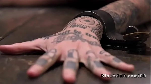 XXX Tatoué et bâillonné tourment bdsm meilleures vidéos