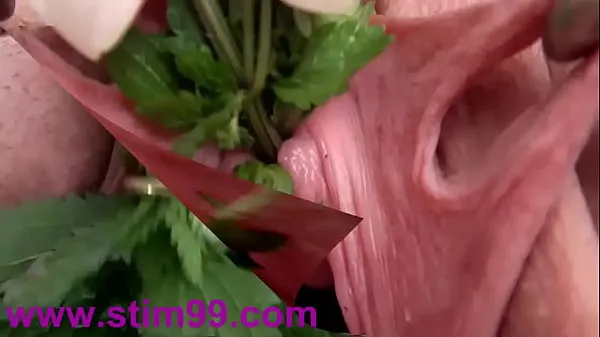 XXX Nettles in Peehole Urethral Insertion Nettles & Fisting Cunt top Videos