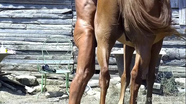 XXX parmi mes chevaux meilleures vidéos