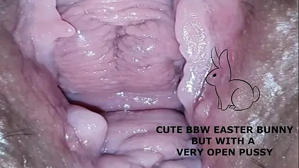 XXX Cute bbw bunny, but with a very open pussy วิดีโอยอดนิยม