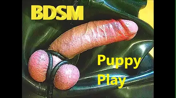 XXX Rubber Puppy Play HundetrainingTop-Videos