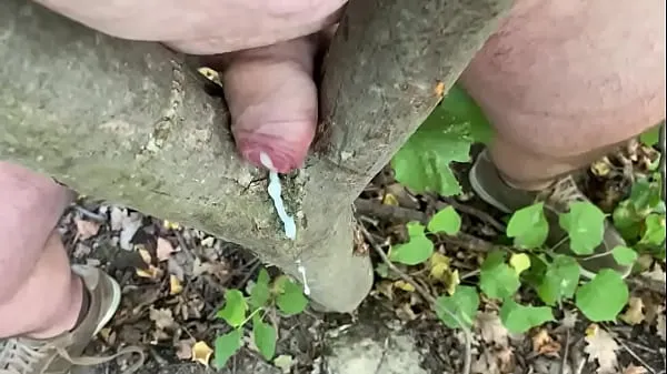 XXX Cum with the tree Video hàng đầu